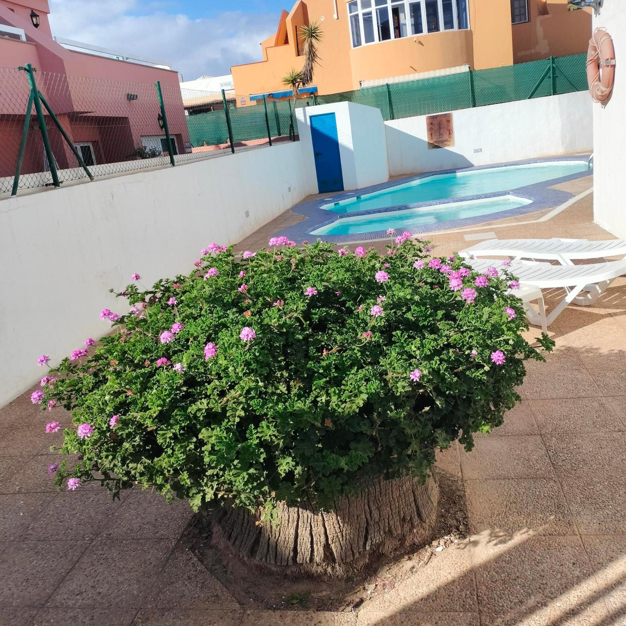 Vivienda Vacacional Alipatri Caleta De Fuste Exterior photo